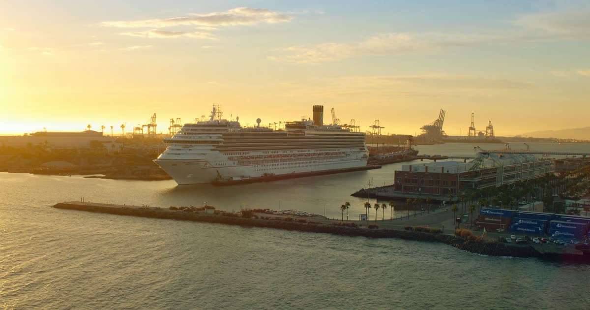 Cruise ships at a Southern California terminal with harbour cranes behind